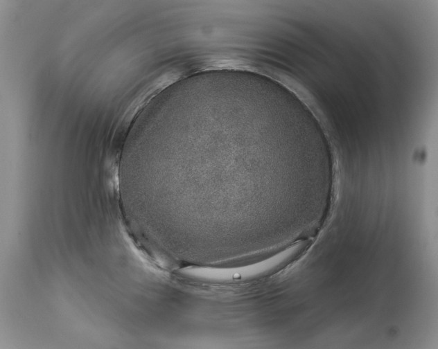 X0000114211241200910231359