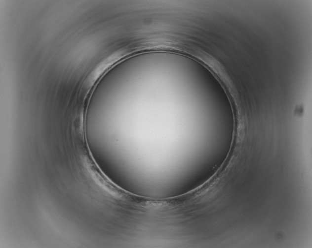 X0000114211242200910231359