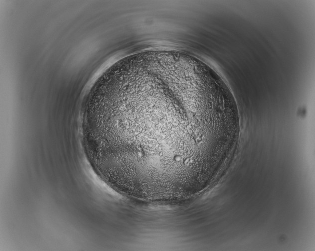 X0000114211243200910231359