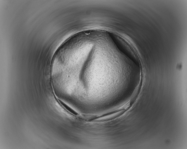 X0000114211244200910231359