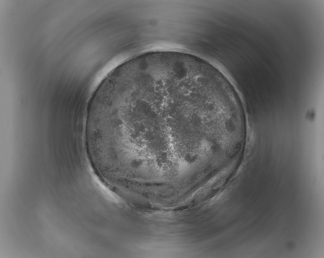 X0000114211245200910231359