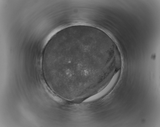 X0000114211246200910231359