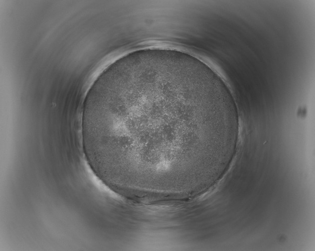 X0000114211247200910231359