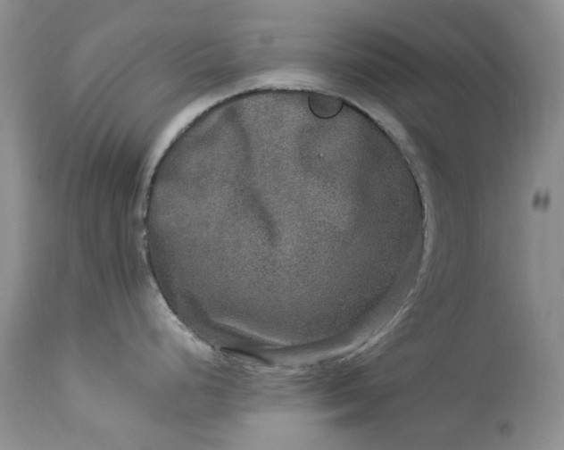 X0000114211248200910231359