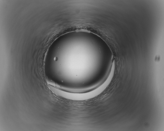 X0000114211249200910231358