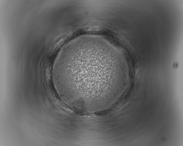 X0000114211250200910231358