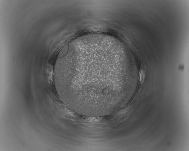 X0000114211251200910231358