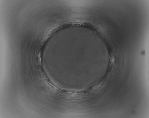X0000114211252200910231358