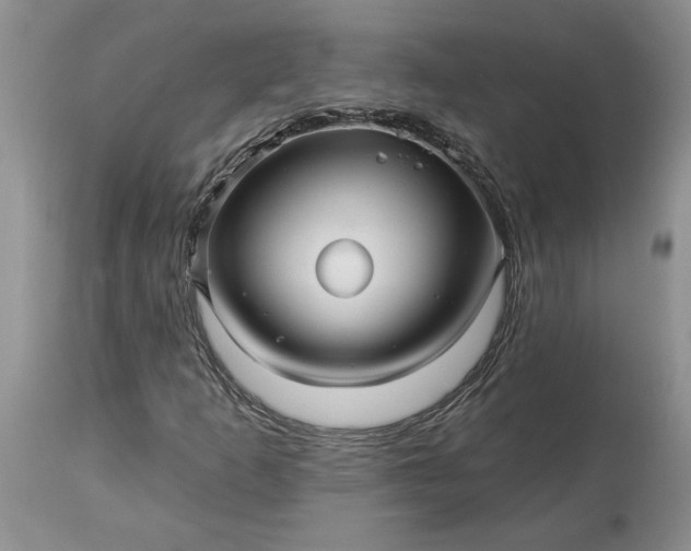 X0000114211253200910231358