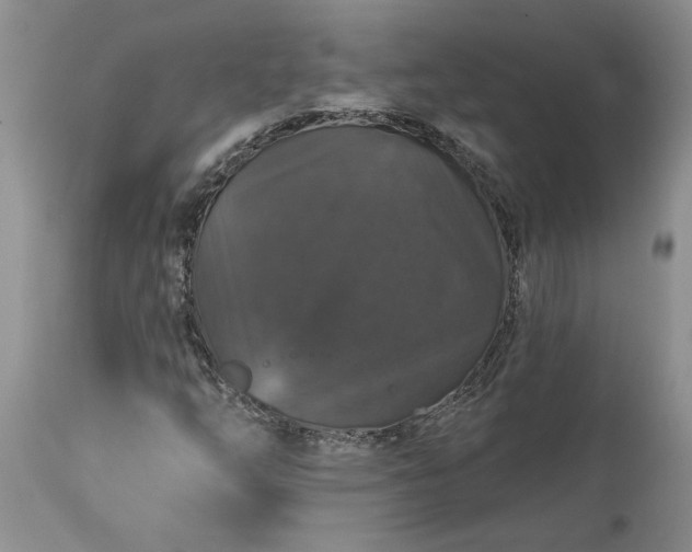 X0000114211254200910231358