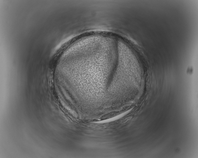 X0000114211255200910231358