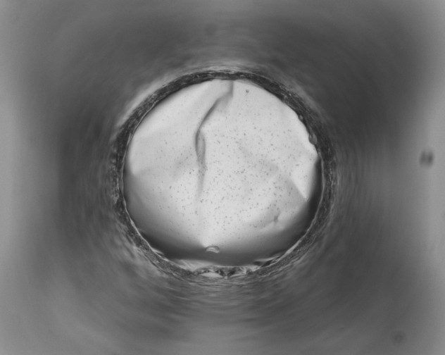 X0000114211256200910231358