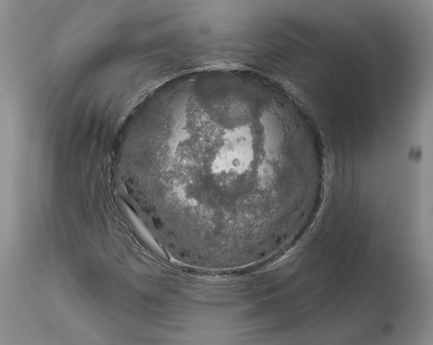 X0000114211257200910231358