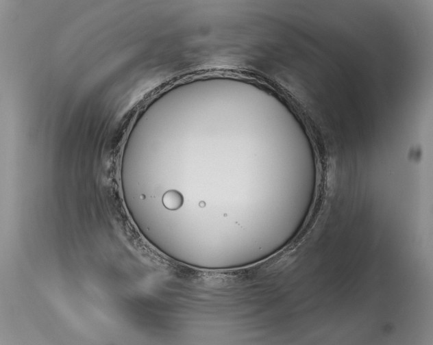 X0000114211258200910231358