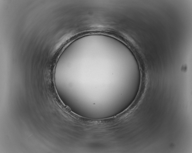 X0000114211259200910231358
