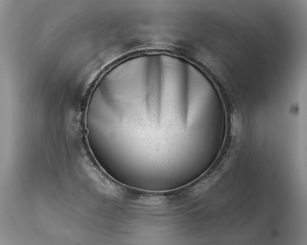 X0000114211260200910231358