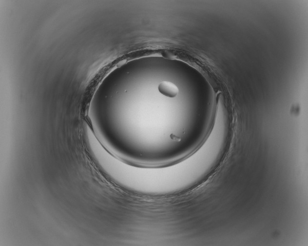 X0000114211261200910231358