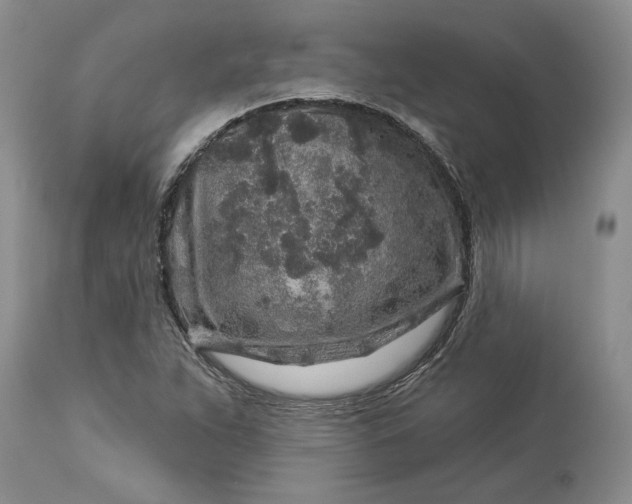X0000114211263200910231358