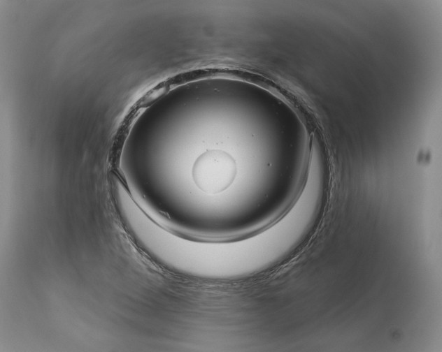 X0000114211264200910231358
