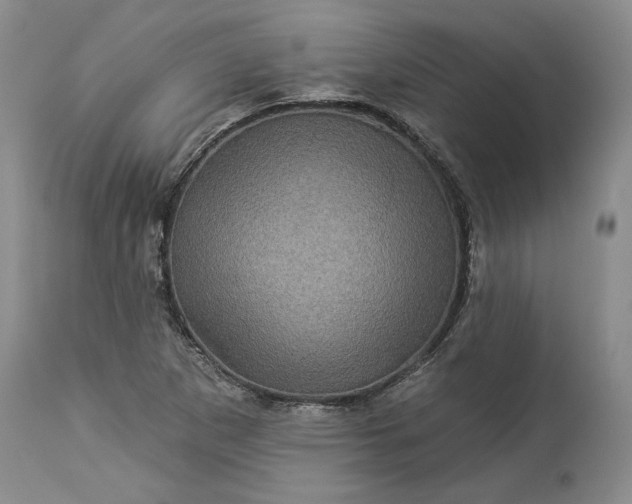 X0000114211265200910231358