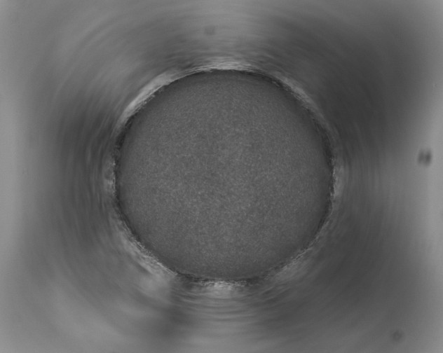 X0000114211266200910231358