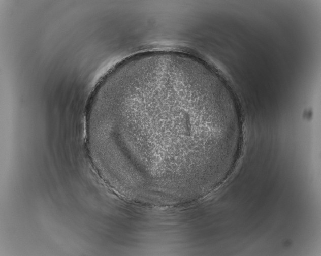 X0000114211267200910231358
