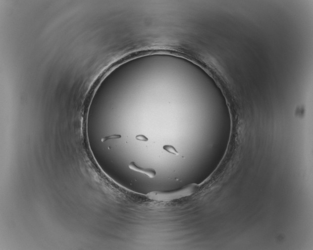 X0000114211268200910231358