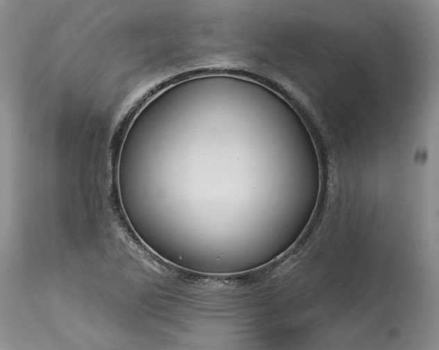 X0000114211270200910231358