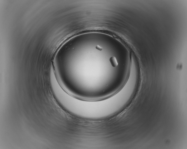X0000114211273200910231358