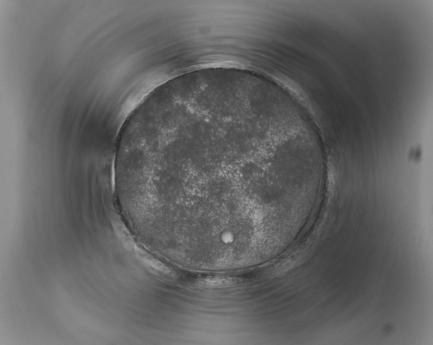 X0000114211274200910231358