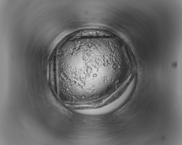 X0000114211275200910231358