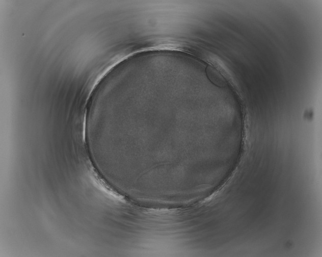 X0000114211276200910231358