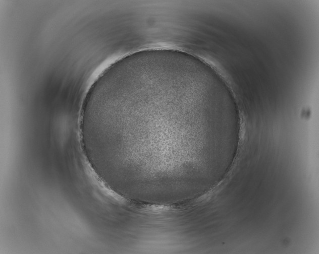 X0000114211278200910231358