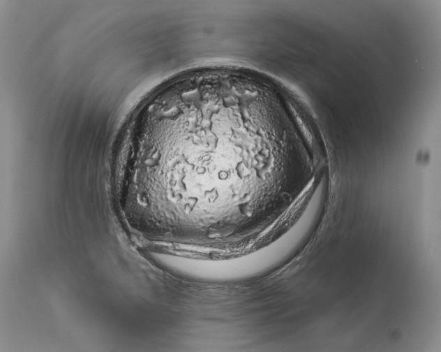 X0000114211279200910231358