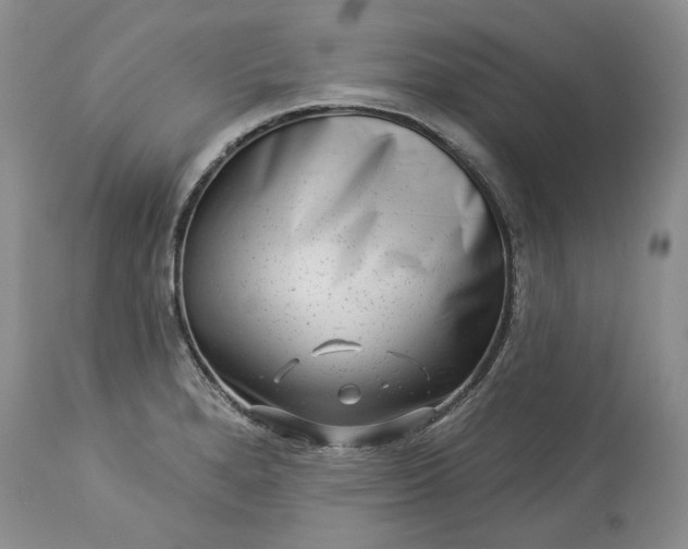 X0000114211280200910231357