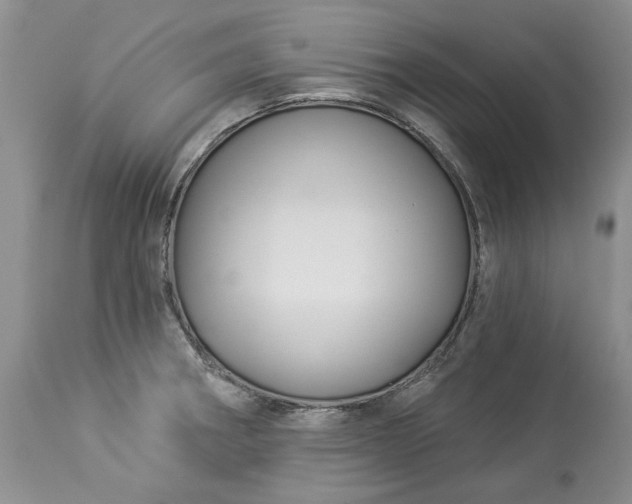 X0000114211282200910231357