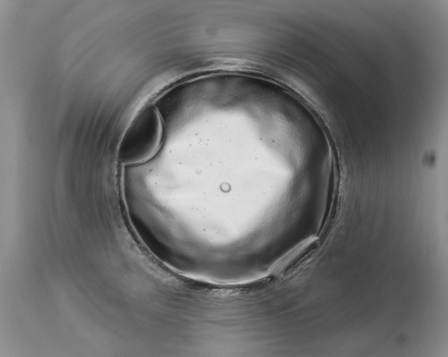 X0000114211283200910231357