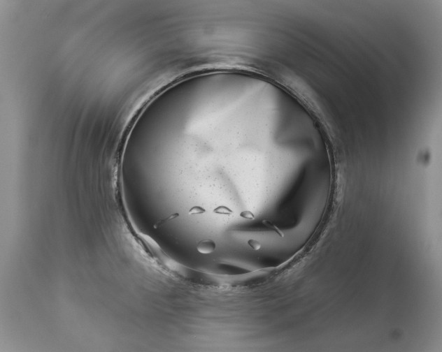 X0000114211284200910231357