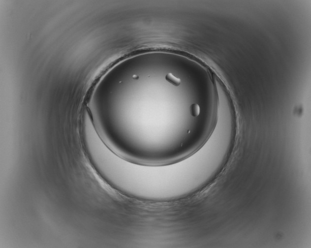 X0000114211285200910231357