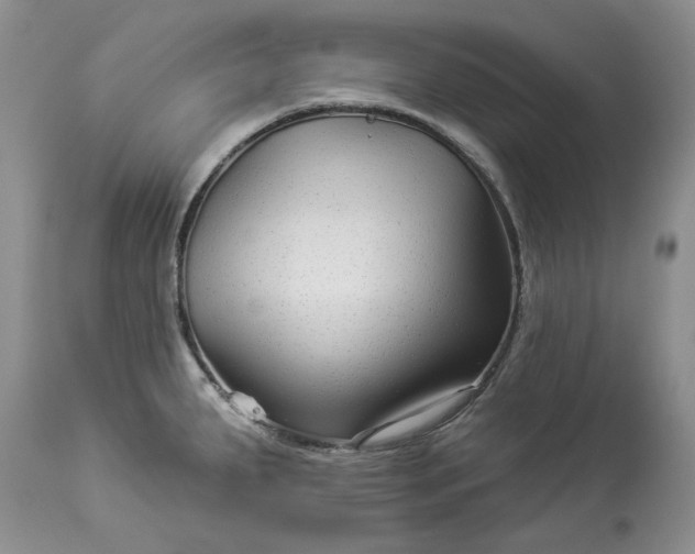 X0000114211287200910231357