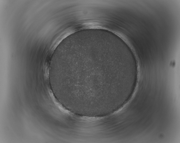 X0000114211289200910231357