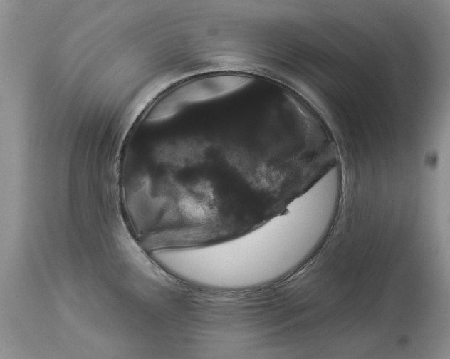 X0000114211291200910231357