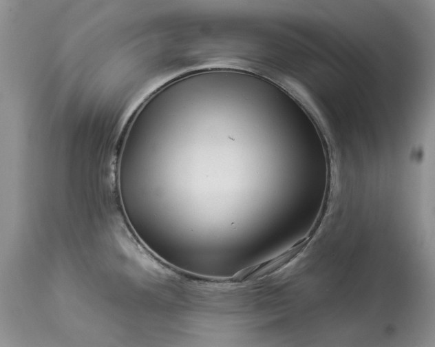 X0000114211292200910231357