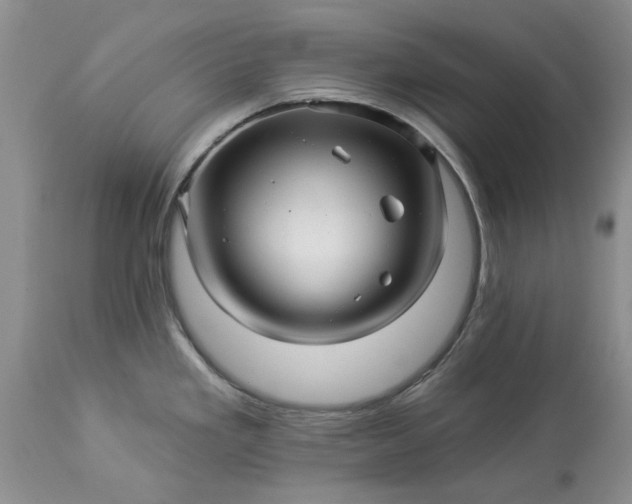 X0000114211293200910231357