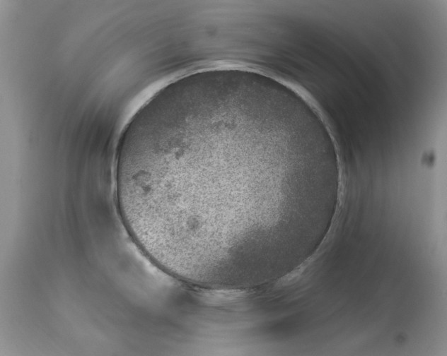 X0000114211294200910231357