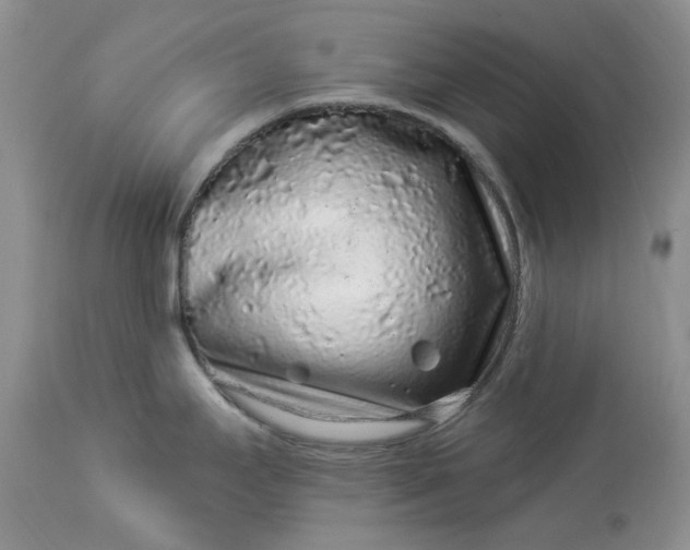 X0000114211295200910231357