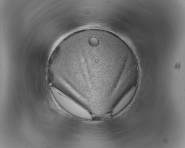 X0000114211296200910231357