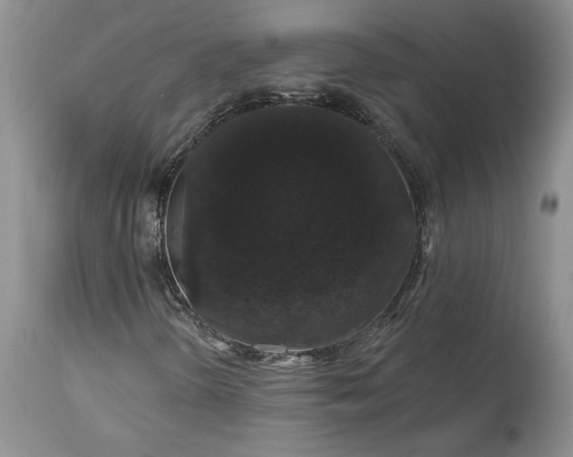 X0000114211298200910231357