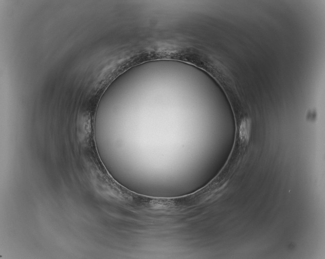 X0000114211299200910231357