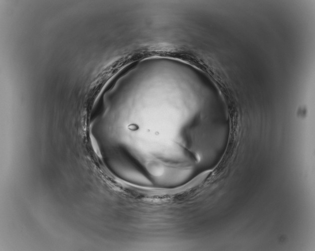 X0000114211301200910231357
